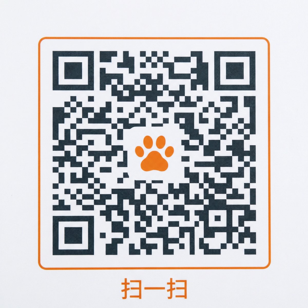 午夜福利公众号